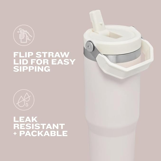 Stanley IceFlow 2.0 Flip Straw Tumbler with Handle 20 oz | Twist On Lid and Flip Up Straw | Leak Resistant Water Bottle | Insulated Stainless Steel | BPA-Free | Meadow