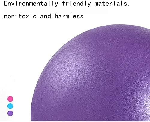 6 Inch Exercise Pilates Mini Yoga Balls Barre for Home Stability Squishy Training Physical Therapy Improves Balance with Pump