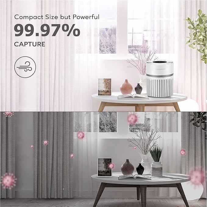 MEGAWISE EPI810 Air Purifier, Bedroom HEPA Air Purifier, Suitable for Pet Dander, Smoke, and Odors, Portable Air Purifier with Air Filter, Suitable for Home Use (white)