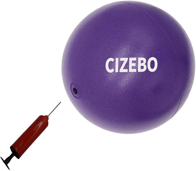 Small Exercise Ball for Between Knees, 6 inch Pilates Ball with Pump, Mini Yoga Core Ball Physical Therapy