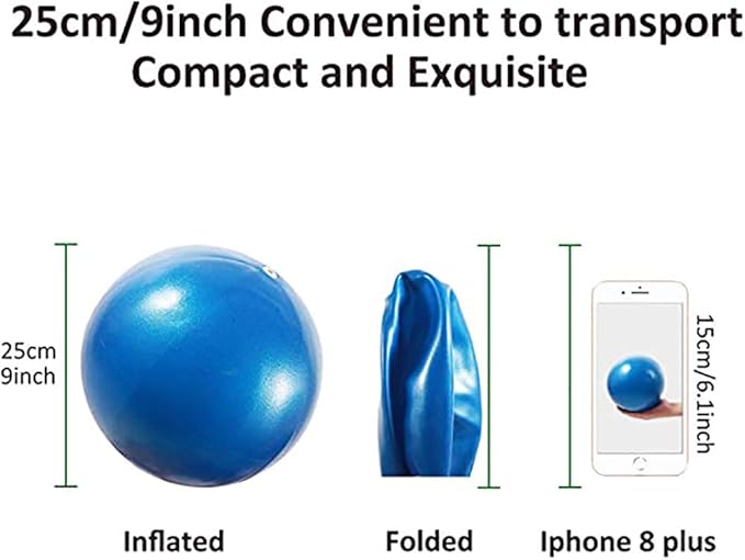 6 Inch Exercise Pilates Mini Yoga Balls Barre for Home Stability Squishy Training Physical Therapy Improves Balance with Pump