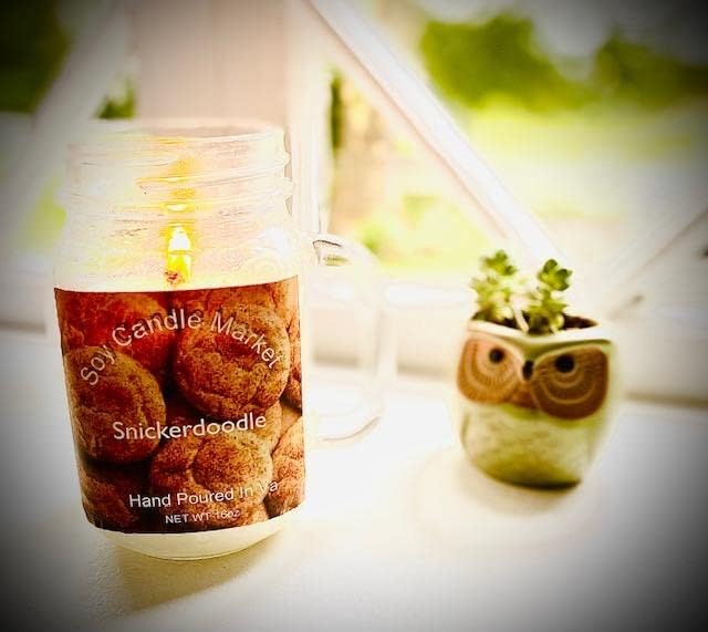 Soy Scented Candles | Handmade & Highly Aromatic Candles Burns Upto 85 Hours in Glass Jar - Perfect for Home Decor, Wedding, Birthday, Dinner (Snickerdoodle, 16 oz)