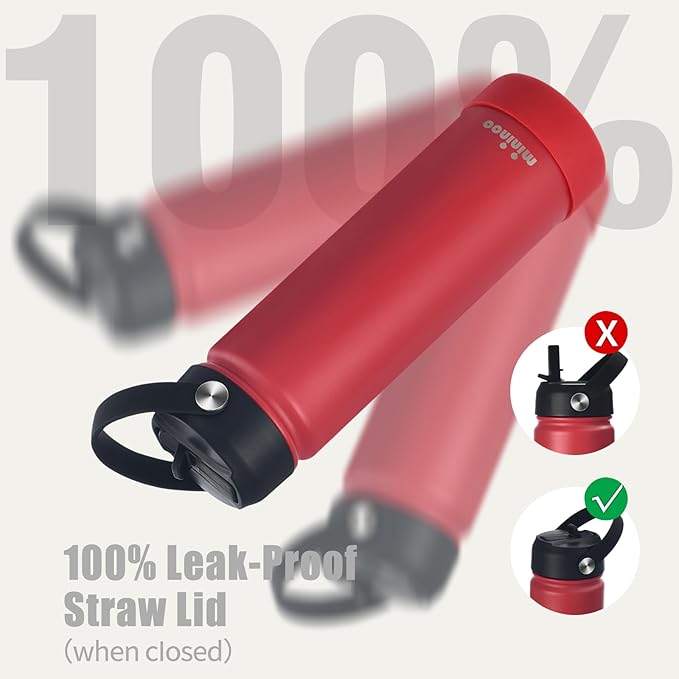 Insulated Stainless Steel Water Bottle with Straw, Ceramic-Lined, BPA-Free & Leak-Proof, 24 oz, Red