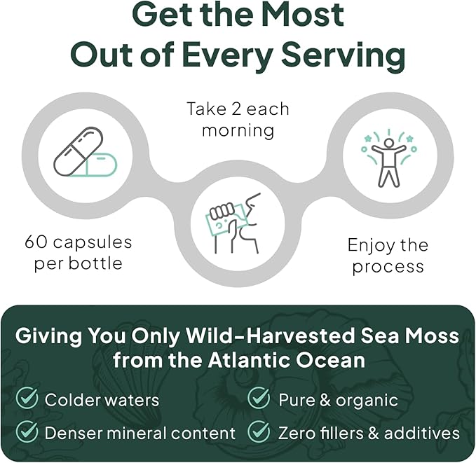 Organics Ocean Wild Sea Moss Capsules - 100% Organic Irish Sea Moss with Organic Chlorella, Bladderwrack and Vitamin D for Energy, Lung Health and Thyroid Support for Women and Men - 60 Capsules