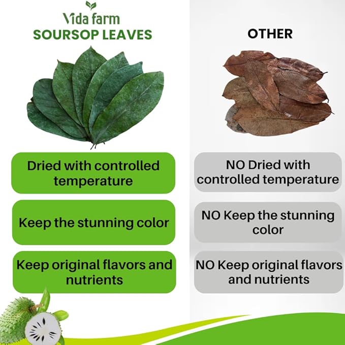 VIDA FARM Premium Dried Soursop Leaves Tea, 100% Natural Whole Guanabana Leaves, Hojas de Guanabana Para Te, Soursop Tea Leaves