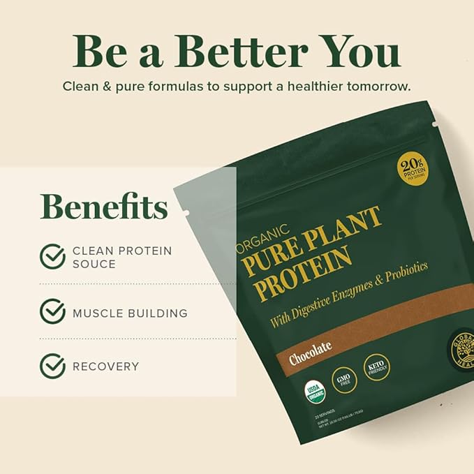Global Healing Organic Plant Chocolate Protein Powder for Men and Women 20g - Dairy Free Protein Powder with Digestive Enzymes & Probiotics to Support Gut Health (1.6 Lbs)