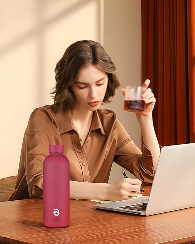 Insulated Water Bottle with Lid, 17 oz Reusable Leak-Proof Metal Stainless Steel Water Bottles for Travel, Sports, Gym, Outdoor (Brick Red)