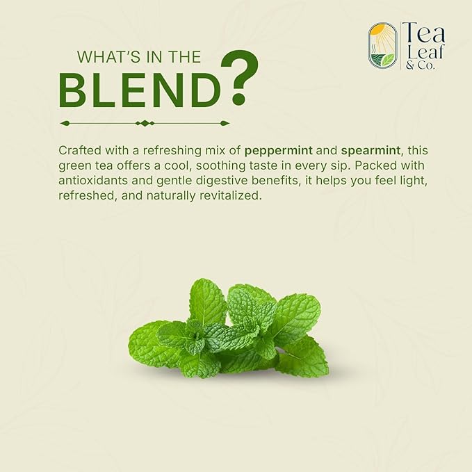 Mint Green Tea Bags (50 Count), Green Tea with Peppermint & Spearmint, Caffeinated, Real and Natural Green Tea, Blended with Fresh Herbs and Spices, Gluten Free