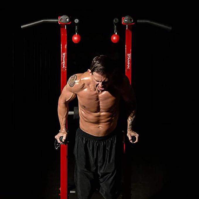 Stamina Power Tower - Dip Bar Pull Up Bar Station with Smart Workout App - Dip Bars for Home Workout - Up to 250 lbs Weight Capacity