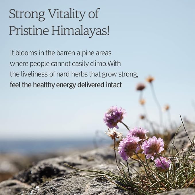 Hair Gift Set - Signature Shampoo & Conditioner Set 33.8 Fl. oz. (2×16.9 Fl. oz.) / 6 Hydrolyzed Proteins, 11 Amino Acids & 5 Plant Oils/Smooth & Shiny Hair