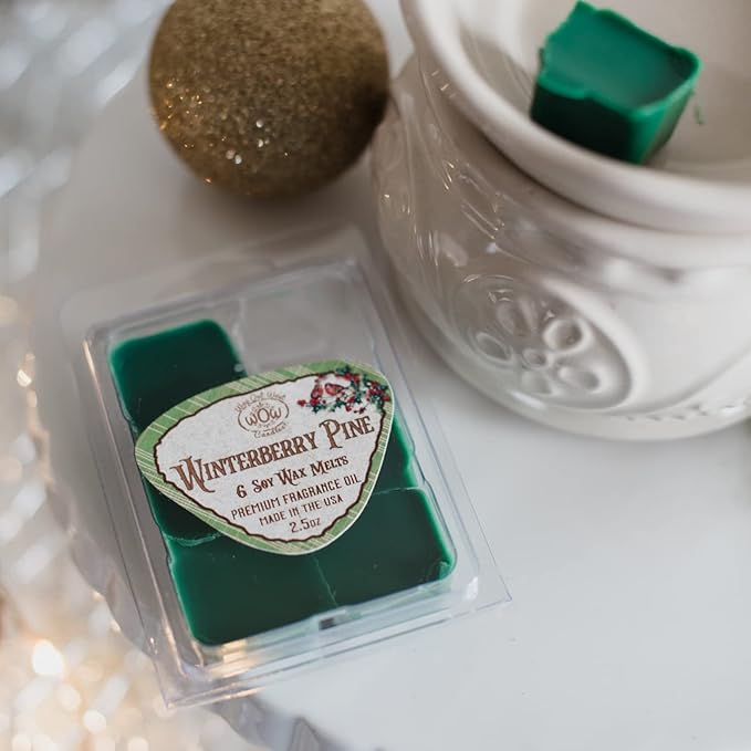 Scented Wax Melts for Wax Warmers - Highly Fragrant Air Freshener - 4 Pack Assorted Set of 6 Melt Cubes - Made in USA by Way Out West Candles (4, Fall & Winter Assortment)