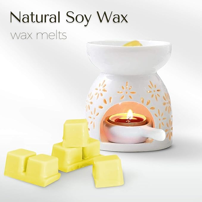 SCENTORINI Wax Melts, Scented Wax Melts, Vanilla & Coconut, Apple & Cinnamon, Pumpkin, Mint & White Jasmine, Winter Cedarwood, Black Pomegranate, Mediterranean Fig, 8x2.5 oz
