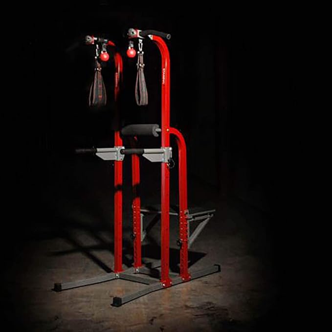 Stamina Power Tower - Dip Bar Pull Up Bar Station with Smart Workout App - Dip Bars for Home Workout - Up to 250 lbs Weight Capacity