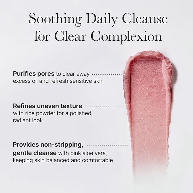 Fresh Rosehip Rice Mochi Cleanser