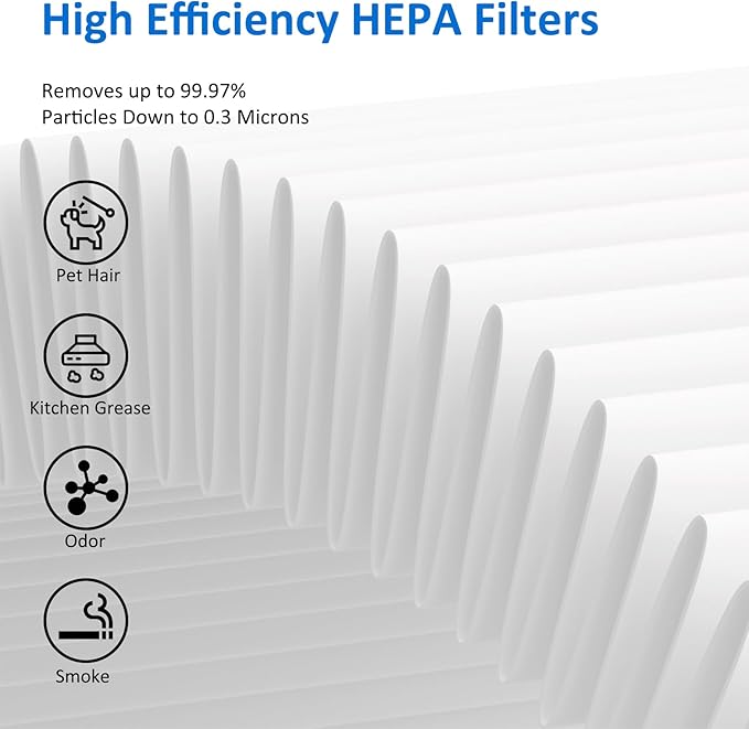 MK06 MK01 True HEPA Replacement Filter Compatible with AROEVE MK01 MK06 and Kloudi DH-JH01 Air Purifier, Standard Version, 2 Pack