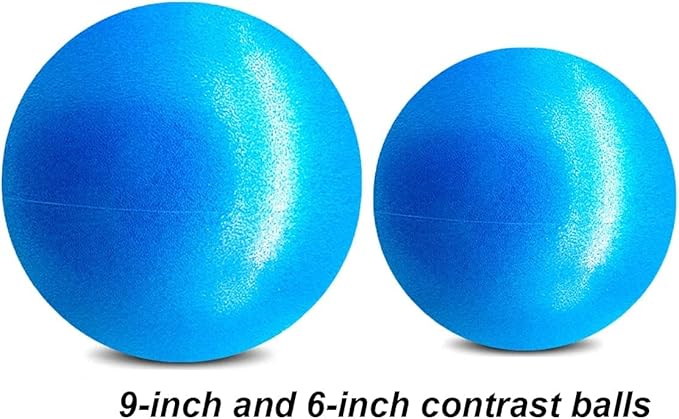 6 Inch Exercise Pilates Mini Yoga Balls Barre for Home Stability Squishy Training Physical Therapy Improves Balance with Pump