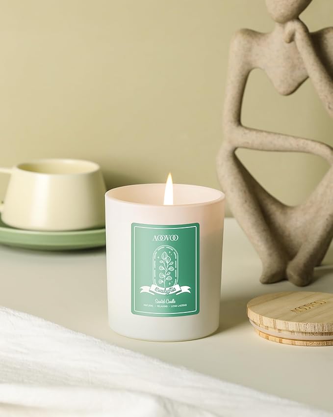 AOOVOO Eucalyptus Mint Scented Candles for Women - Aromatherapy Candle with Crystals Inside, 10oz Soy Candles for Home Scented, Mothers Day Birthday Gifts Candle for Women Mom