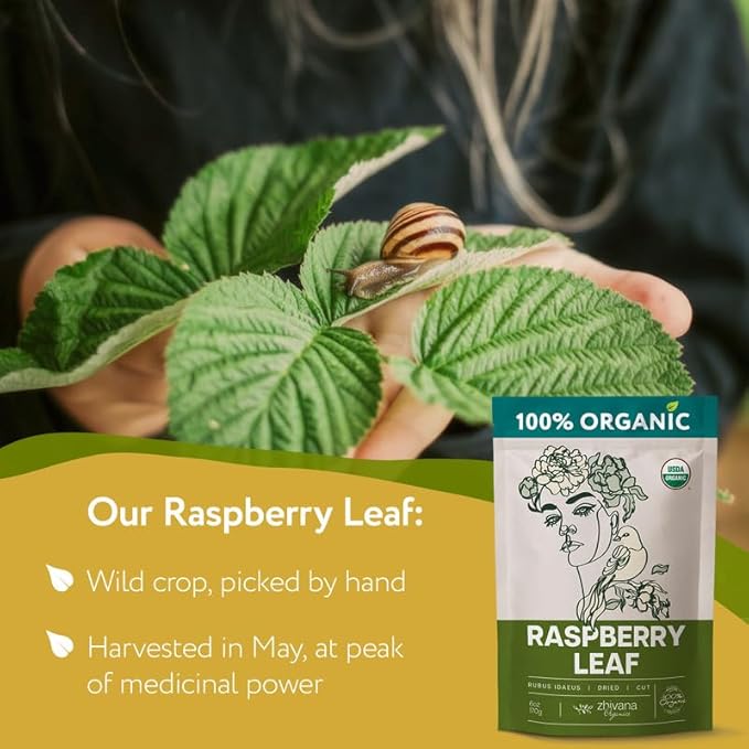 Organic Red Raspberry Leaf Tea โ Wild Raspberry Tea for for Pregnancy, Healthy Cycle, Menstrual Cramps โ 6oz
