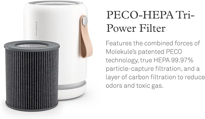 Molekule Air Purifier Mini+ - Purifies Rooms Up to 250 Sq Ft - Smart Purifier with High Pollutant Capture Rate - Air Quality Monitoring Capabilities - White