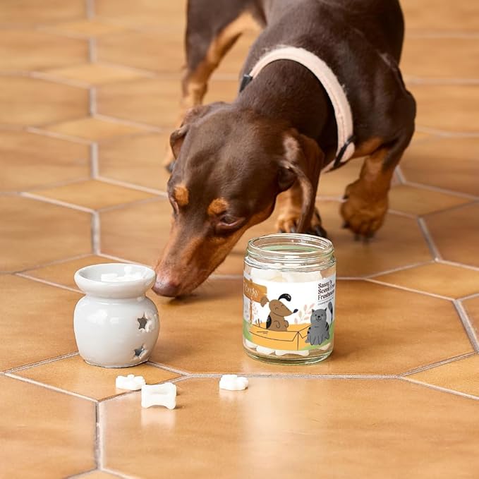 9oz Pet Odor Eliminator Wax Melts, Long-Lasting Scent Free, Non Toxic, Unscented Pets Odor Eliminating Wax Cubes, Natural Plant-Based Wax Blend