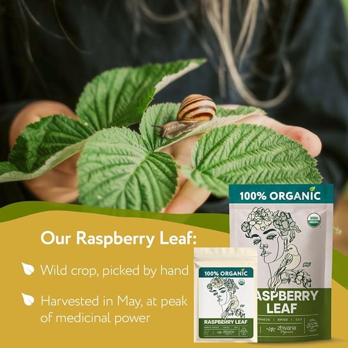 Organic Red Raspberry Leaf Tea โ Loose Leaf Herbal Tea โ 2 oz (Rubus idaeus)