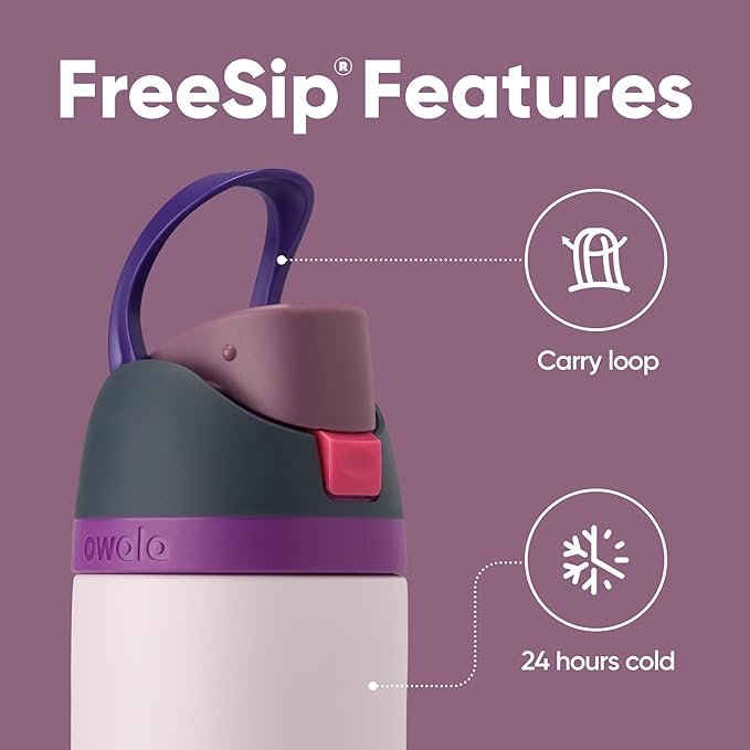 Owala FreeSip Insulated Stainless Steel Water Bottle with Straw for Sports, Travel, and School BPA-Free Sports Water Bottle, 24 oz, Dreamy Field