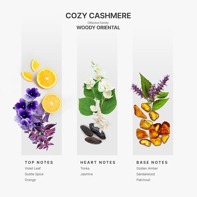 AromaPlan Hotel Scents Cozy Cashmere 5 Fl Oz (2 Pack), Luxury Aroma & Hotel Fragrance Diffuser Oil- Hotel Diffuser Oil for Aromatherapy- USA Made, Bigger Bottle, Bolder Aroma & Longer Lasting
