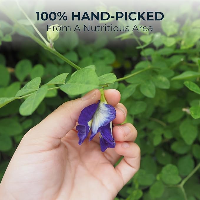 Butterfly Pea Flower Tea Samplers with Jasmine & Stevia - 15 Count, Mini Tea Bags, Bamboo Tong Included, No Sugar Added, Re-Steep Natural Herbal Tea Blend for Skin,Support