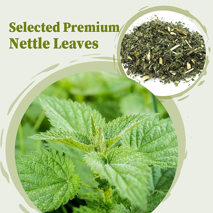 FullChea - Nettle Leaf Tea Bags, 25 Teabags, 1.5g/bag - Naturally Stinging Nettle Tea - Support Eye Health & Strengthen Bones