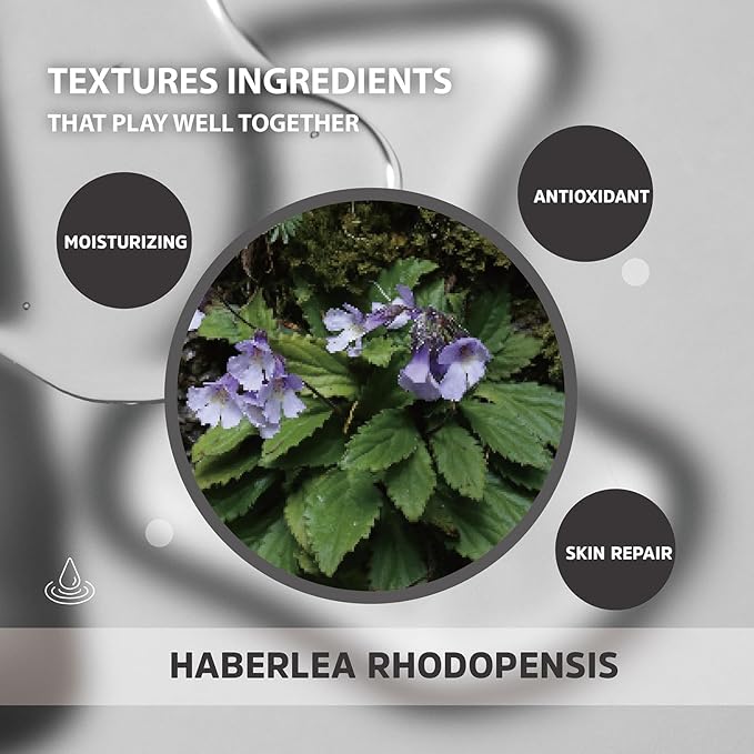 Haberlea Face Serum – Natural, Hydrating Serum for Dry Skin, Fine Lines & Wrinkles – Barrier Repair & Moisturizing Care for All Skin Types – Made in Taiwan – 30ml / 1.01 fl oz