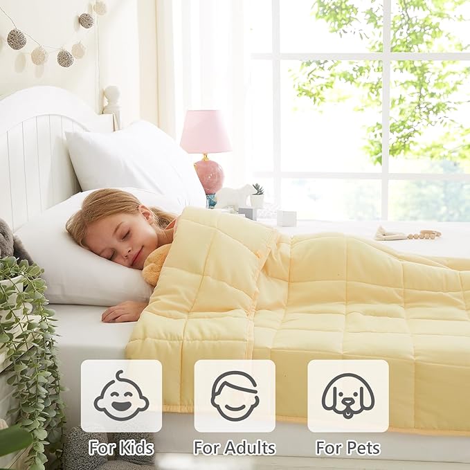 L'AGRATY Weighted Blanket - 36"x48" 5lbs Microfiber Material with Glass Beads Small Blanket for All-Season Summer Fall Winter Soft Thick