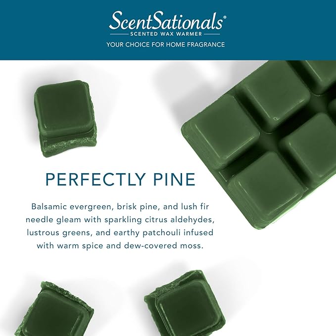 Scentsationals Wax Melts - Perfectly Pine Scented Fragrance - Wax Cubes Pack, Air Freshener - 10oz (24-Cubes)