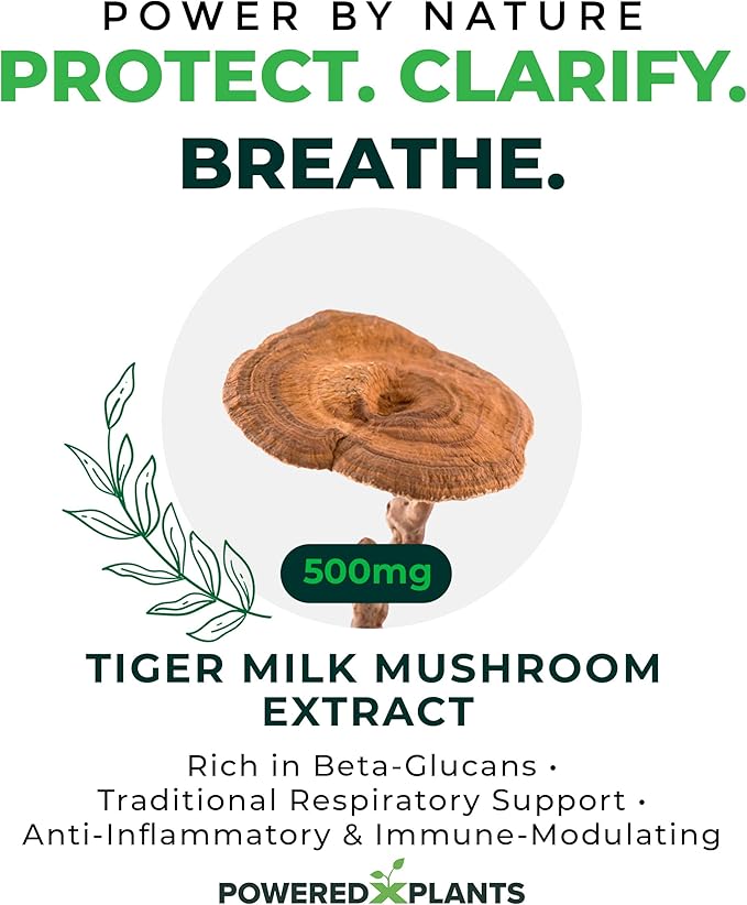Tiger Milk Mushroom Supplement - 500mg Per Capsule with 50% Beta-Glucan - Supports Respiratory Function, Cognitive Clarity, Digestive Balance & Immune Wellness - 60 Count