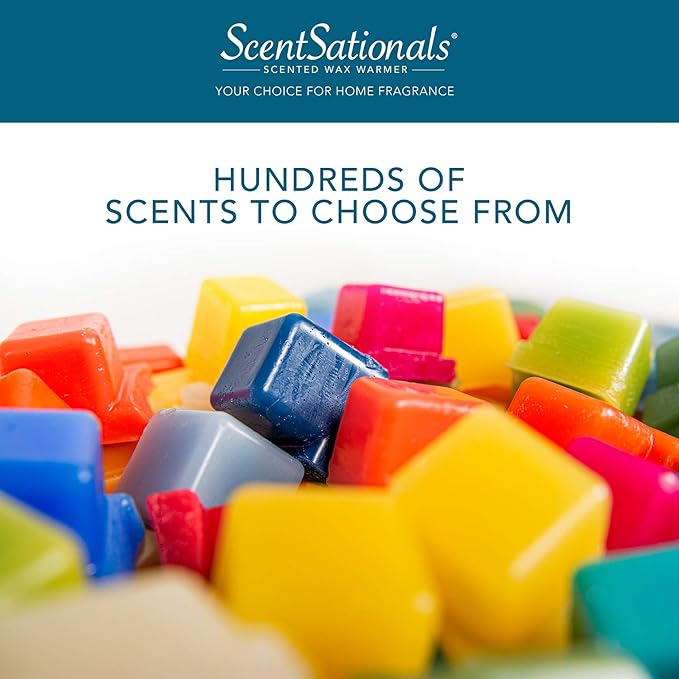 Scentsationals Wax Melts, Wax Cubes Strong Scent - Tropical Fiesta - Long Lasting Scented Melts for Warmer, 10oz (24-Cubes)