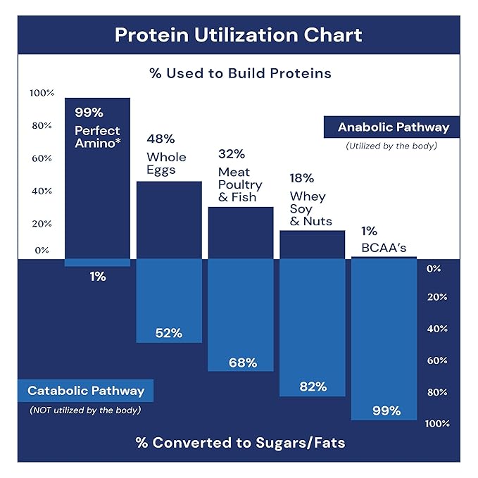 BodyHealth PerfectAmino Bar Protein Energy Snack with 10g of Protein, Plant Based MCT's, Superfood Blend, Kosher, (Brownie, 12 Pack)