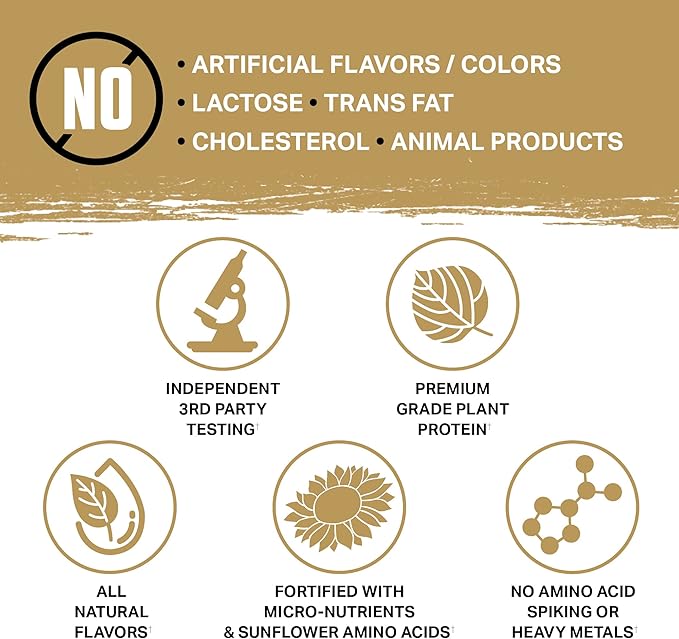 Ambrosia Planta - Premium Plant-Based Protein | Vegan & Keto Friendly | Gourmet Flavors with No Bloating or Stomach Upset | Gluten & Soy Free | No Added Sugar | 25 Servings | Campfire Smores