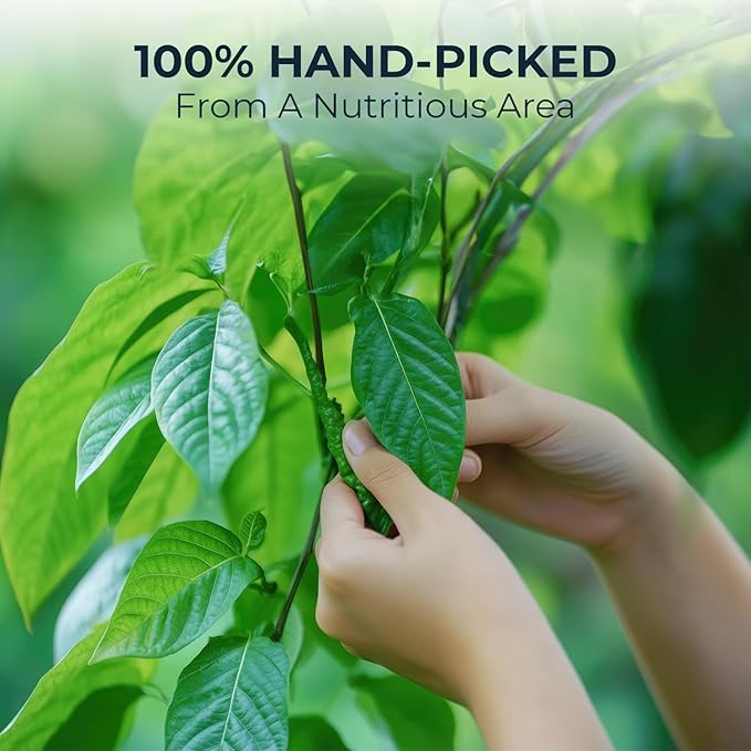 Natural Celastrus Hindsii Tea with Solanum Trilobatum & Stevia - 55 Count (+5 Tea Bags) - 4.59 oz, Bamboo Tong, Re-Steep Herbal Detox Tea Blend for Relax, Energy & Inner Health Support