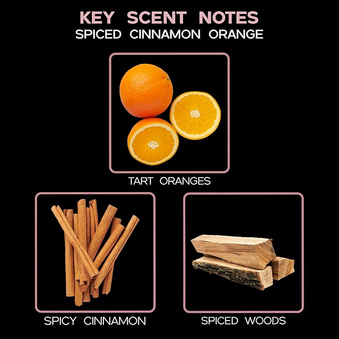 LOVSPA Reed Diffuser Set, Spiced Cinnamon Orange Scented Oil Diffuser with Sticks, Home Fragrance Accessories for Bathroom Shelf Decor, Aroma Diffusers for Home or Office Desk, USA Made