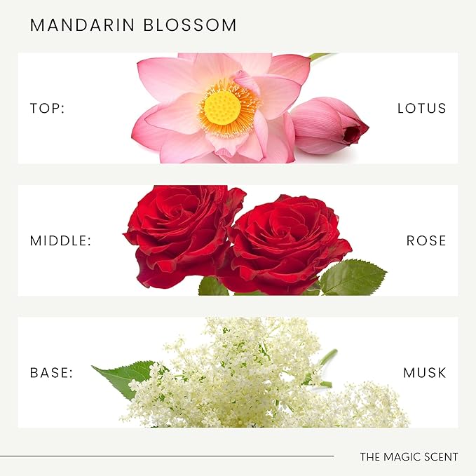 The Magic Scent Mandarin Blossom Diffuser Oil - Hotel & Home Luxury Scents Inspired by St. Regis Hotel, Maldives - Diffuser Oil Scents for Home Designed for Use in All Diffusers - 8.5 fl oz, 250 mL