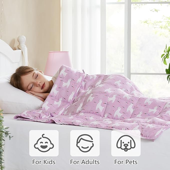 L'AGRATY Weighted Blanket - 36"x48" 3lbs Microfiber Material with Glass Beads Small Blanket for All-Season Summer Fall Winter Soft Thick