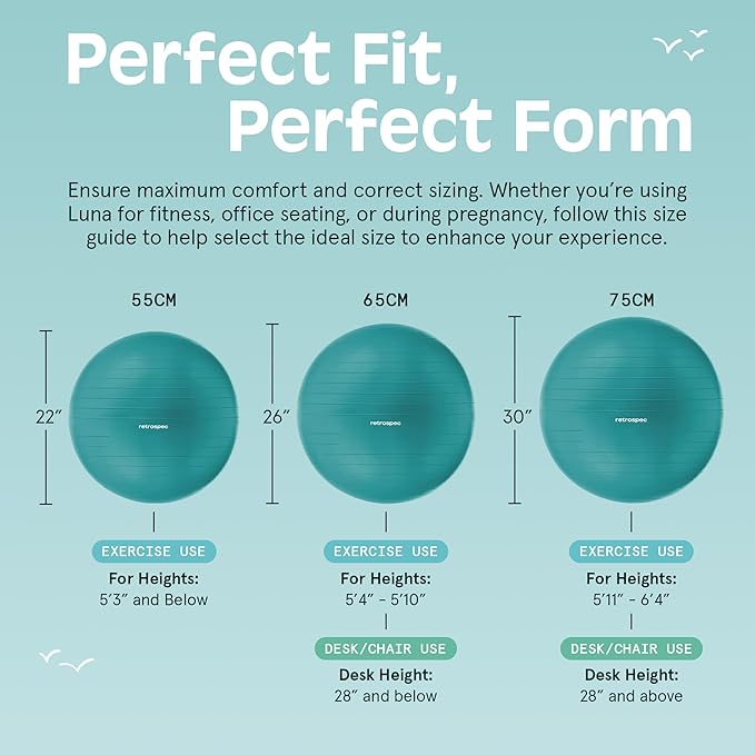 Retrospec Luna Exercise Ball with Pump - Anti-Burst Fitness Equipment for Yoga, Core Training & Stability - Home Gym Swiss Ball for Office & Pregnancy