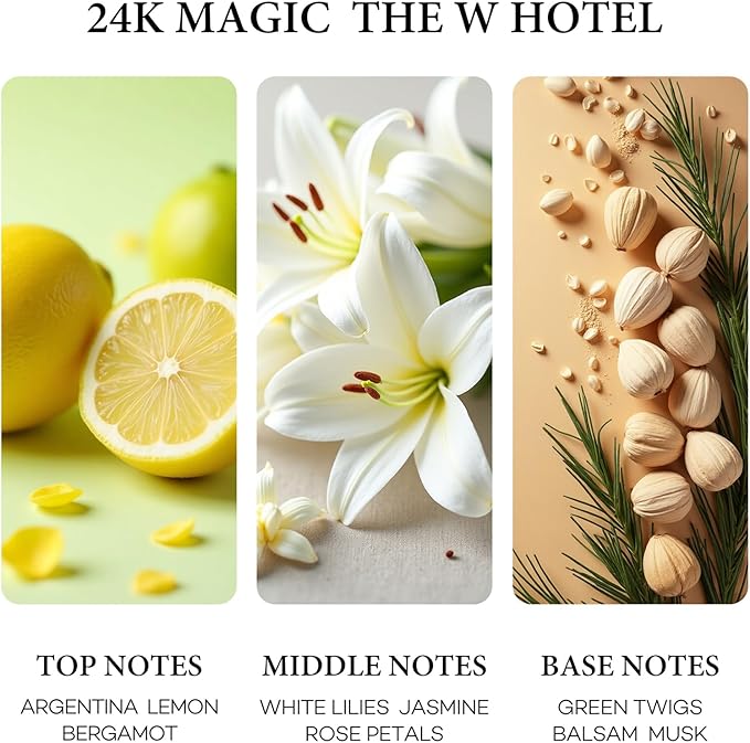 Hotel Diffuser Oil 24K Magic Inspired by The W Hotel Scent, Hotel Essential Oils for Home, Office, Spa,2Pack 10mL*2, 0.34fl oz Hotel Collection Diffuser Oil for Diffusers & Humidifiers,Made in USA