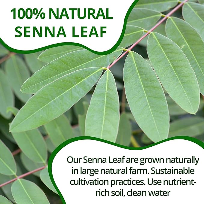 VIDA FARM Premium Senna Tea for Constipation - 125 Tea Bags - 100% Natural Senna Leaves, Non-GMO, Caffeine Free