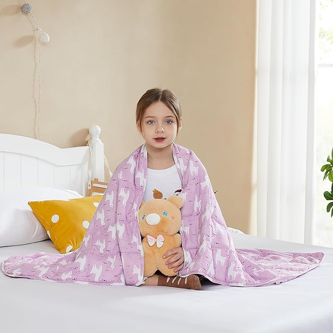 L'AGRATY Weighted Blanket - 36"x48" 3lbs Microfiber Material with Glass Beads Small Blanket for All-Season Summer Fall Winter Soft Thick