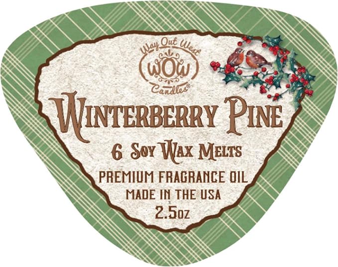 Scented Wax Melts - Highly Fragrant Air Freshener - 4 Pack Set of 6 Melt Cubes (4, Winterberry Pine)