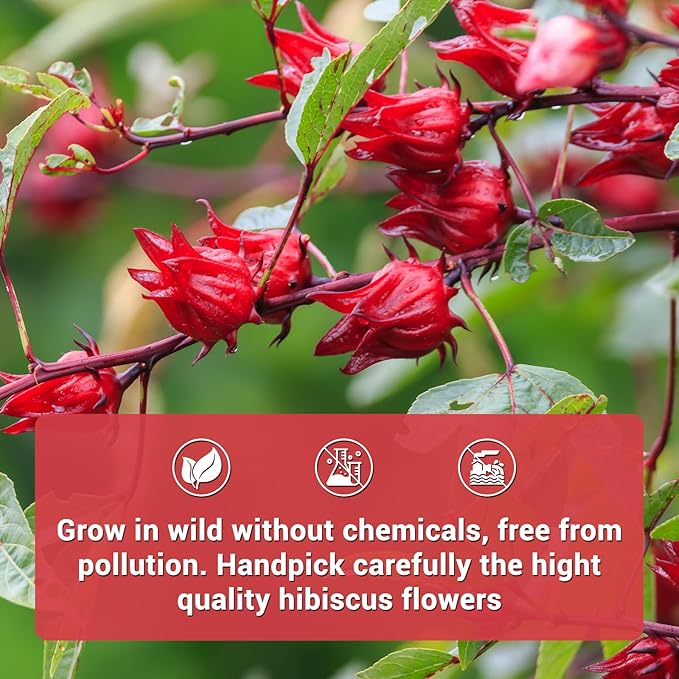 Hibiscus Tea Bags, 100% Natural Hibiscus Flowers Herbal Tea Supports Heart Health, Boosts Immune,Caffeine Free, Non-GMO, No Sugar(1 Pack/50 Bags)
