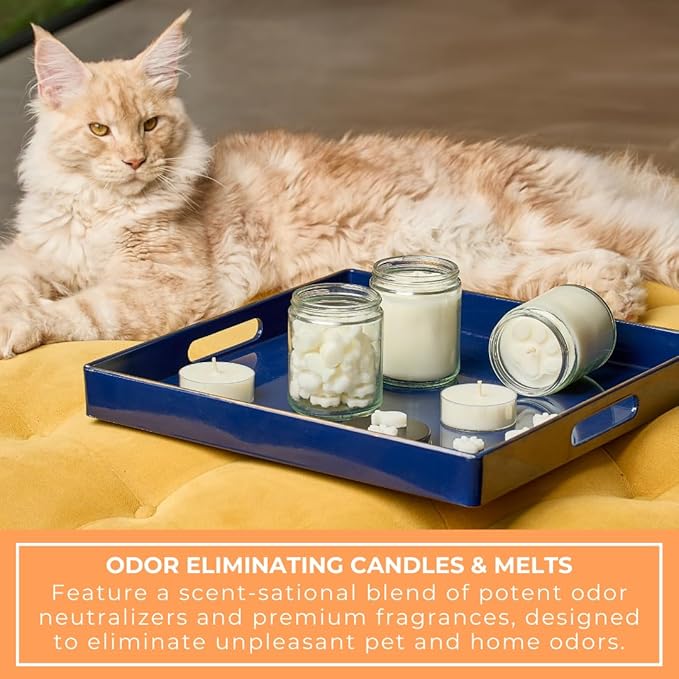 9oz Pet Odor Eliminator Wax Melts, Long-Lasting Citrus Scented, Non Toxic, Pets Odor Eliminating Wax Cubes, Natural Plant-Based Wax Blend