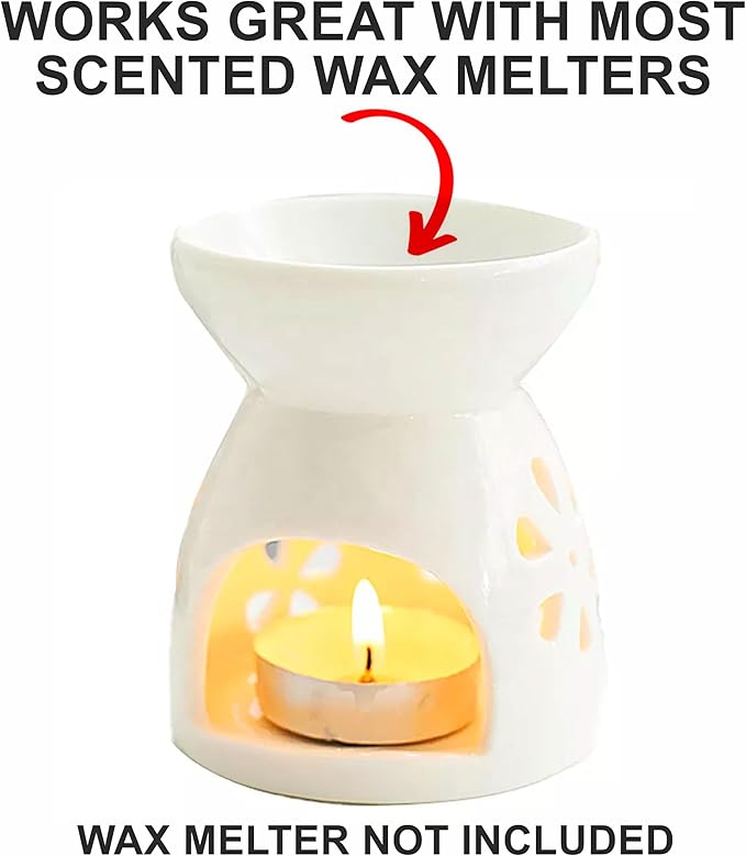 Bookstore Scented Wax Melt - Smells Like Books - Leather - Coffees - 100% Naturally Vegan Soy and Premium Fragrance | Great Gift | Handmade in Denver, Colorado (4 Pack Wax Melts)