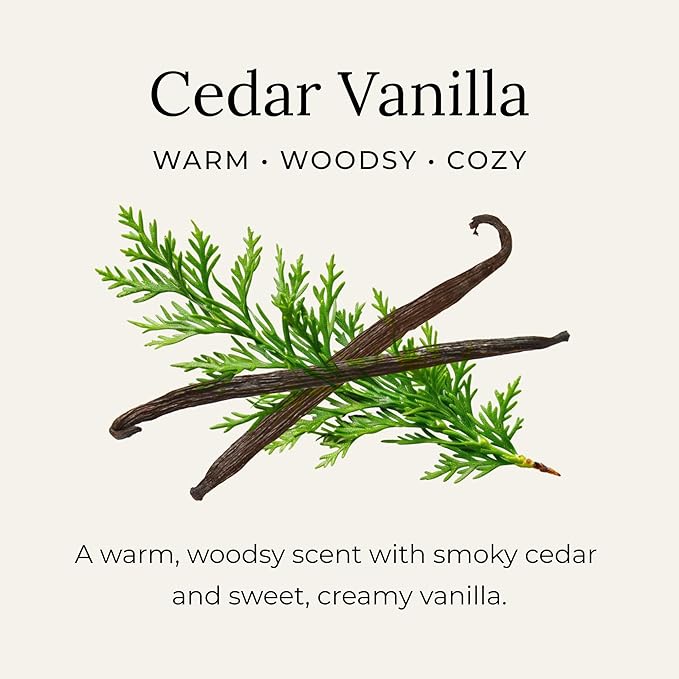 Little Seed Farm All Natural Deodorant Cream - Cedar Vanilla - Aluminum Free Deodorant for Women or Men, Net Wt. 2.4oz | 68g