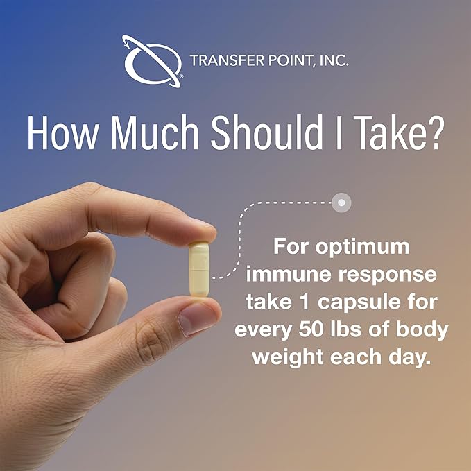Transfer Point Immune Support Supplement Highly Purified Beta Glucan 500 mg per Capsule (b-glucan Fiber) (Pack of 1)